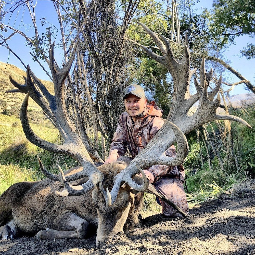 Man in camouflage kneeling beside a large red deer with massive antlers, outdoors, in a wooded setting.