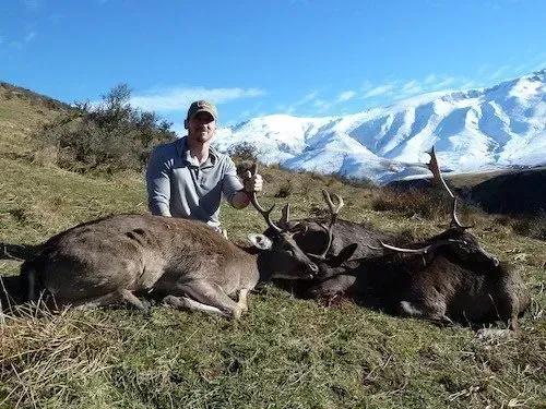 Hunter with three dead deer in a grassy field, snowy mountains in the background under a blue sky.