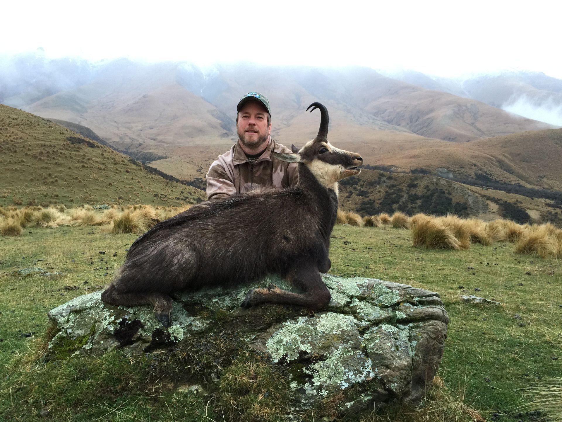 A man in camouflage poses with a dead animal on a mossy rock in a grassy mountainous region. The animal has long, curved horns.