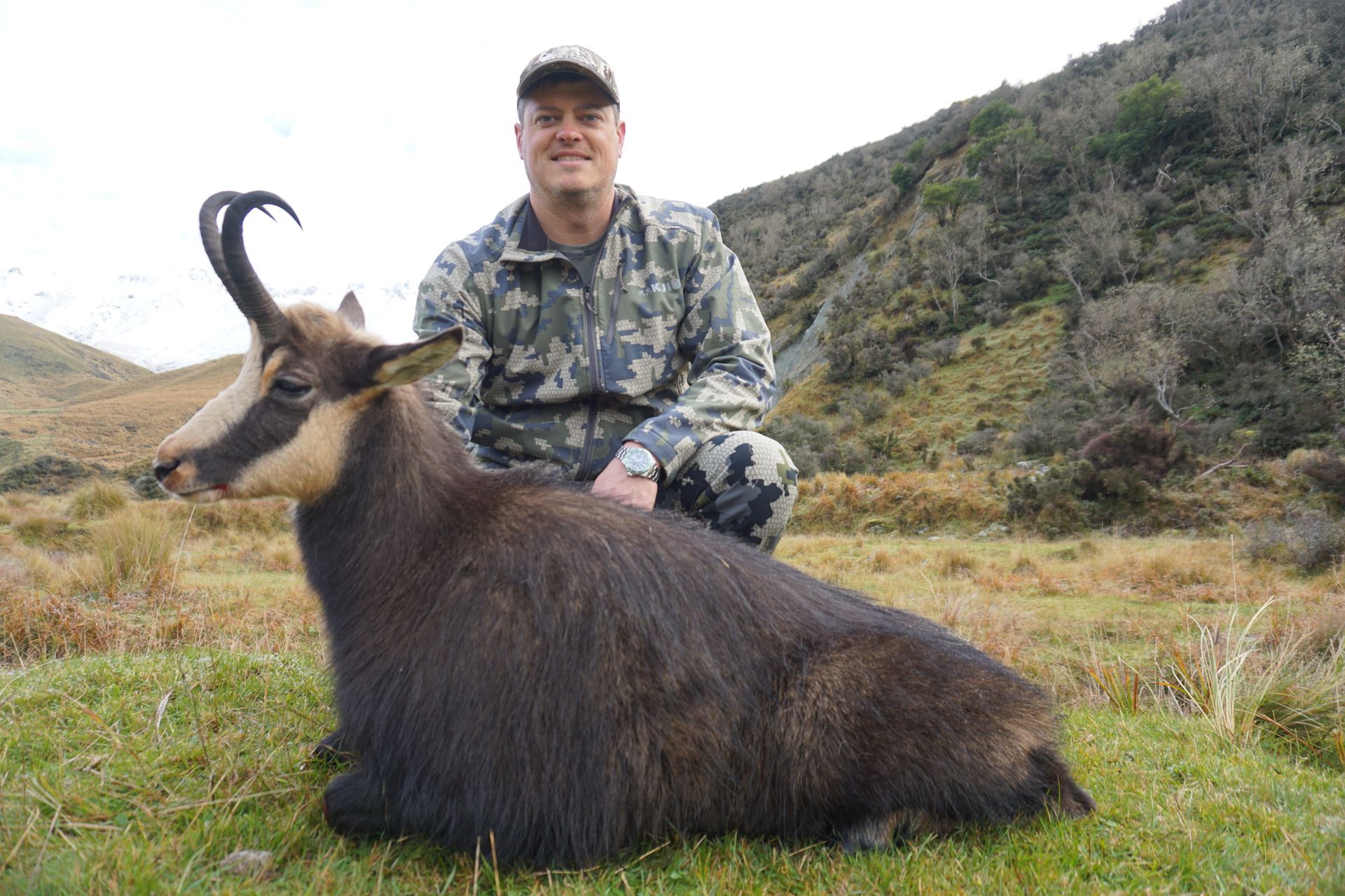 A man in camouflage kneels next to a freshly hunted chamois in a grassy mountain setting.