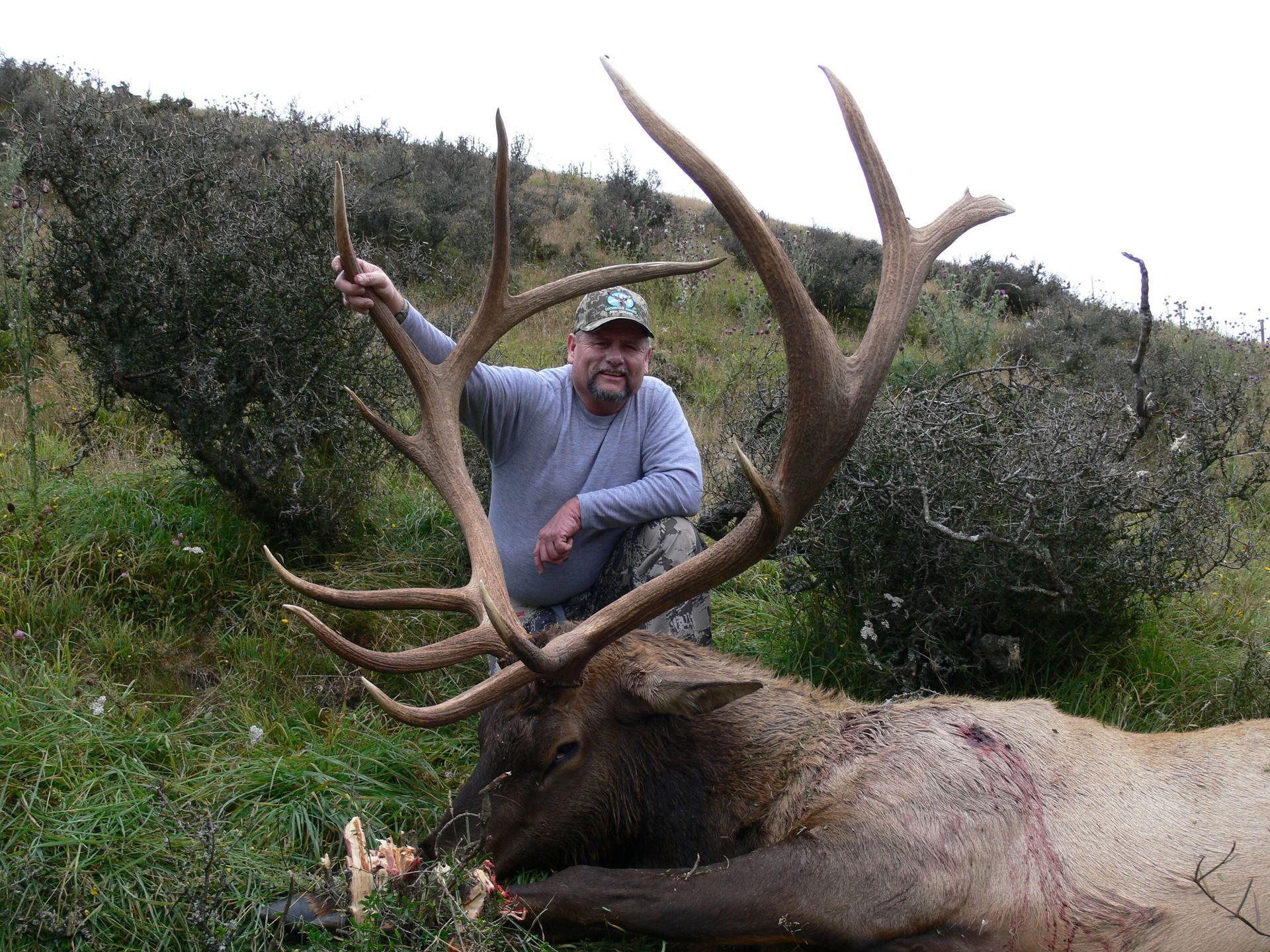Man kneels beside a large bull elk he has hunted; he holds the elk's antlers high in a grassy field.