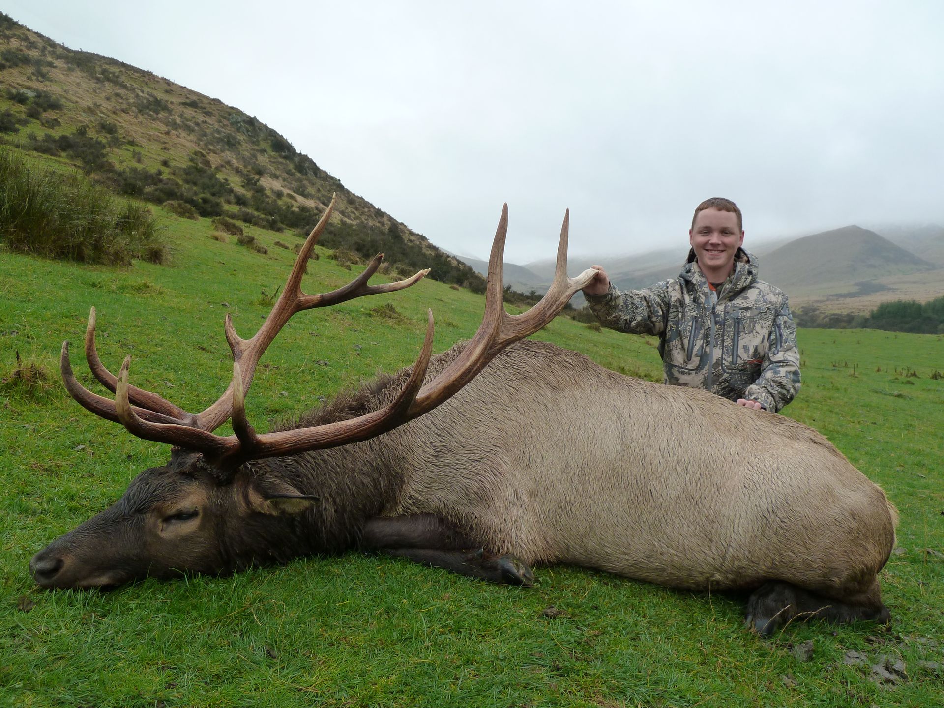 A person in camouflage stands next to a large elk with antlers, lying on a grassy hillside.