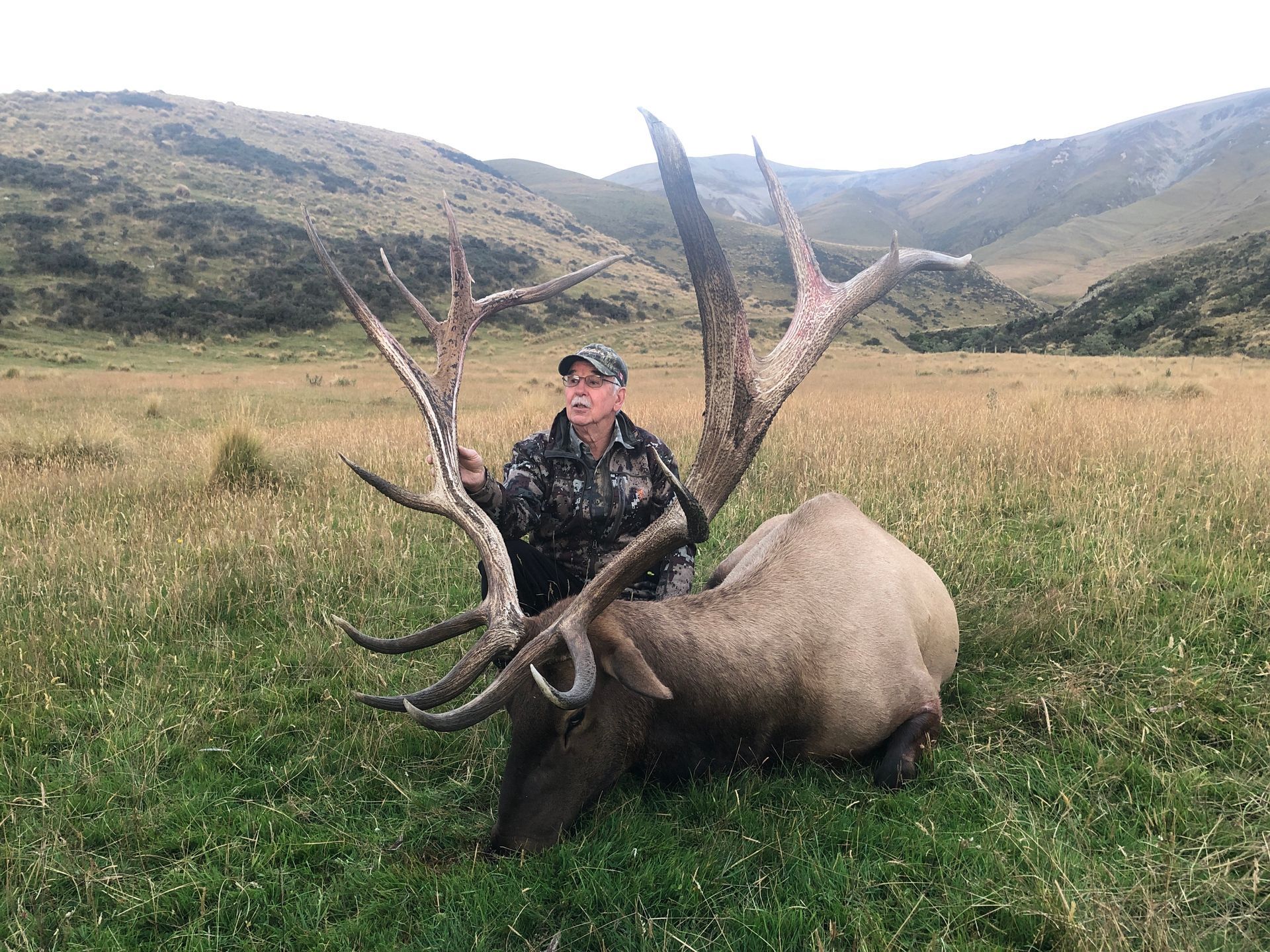 A person in camouflage poses with a large elk they appear to have hunted. The elk lies in a grassy field with mountains in the background.