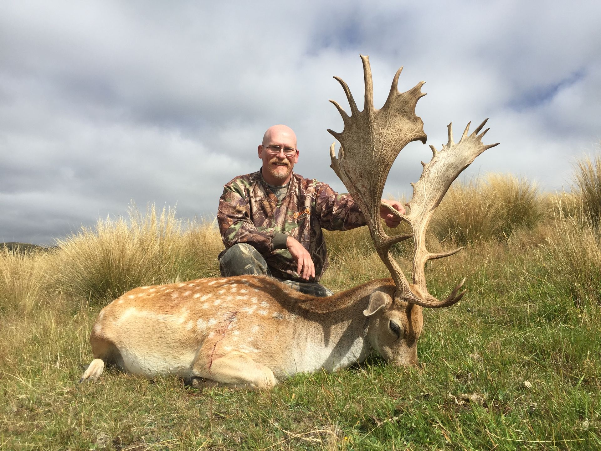 A man kneels next to a fallen fallow deer, with large antlers. The scene is outdoors in a grassy field.