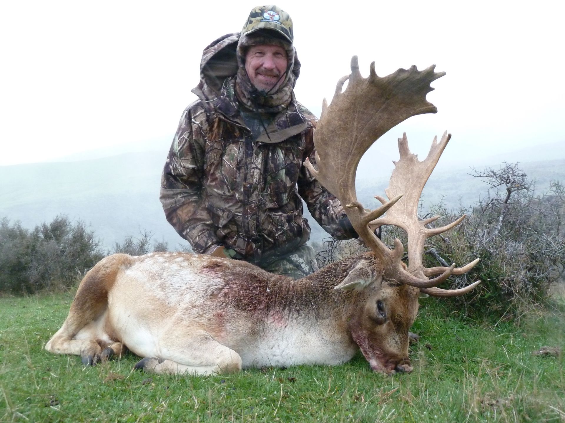 Man in camouflage with a large fallen deer, antlers prominent, on green grass. Cloudy outdoors setting.