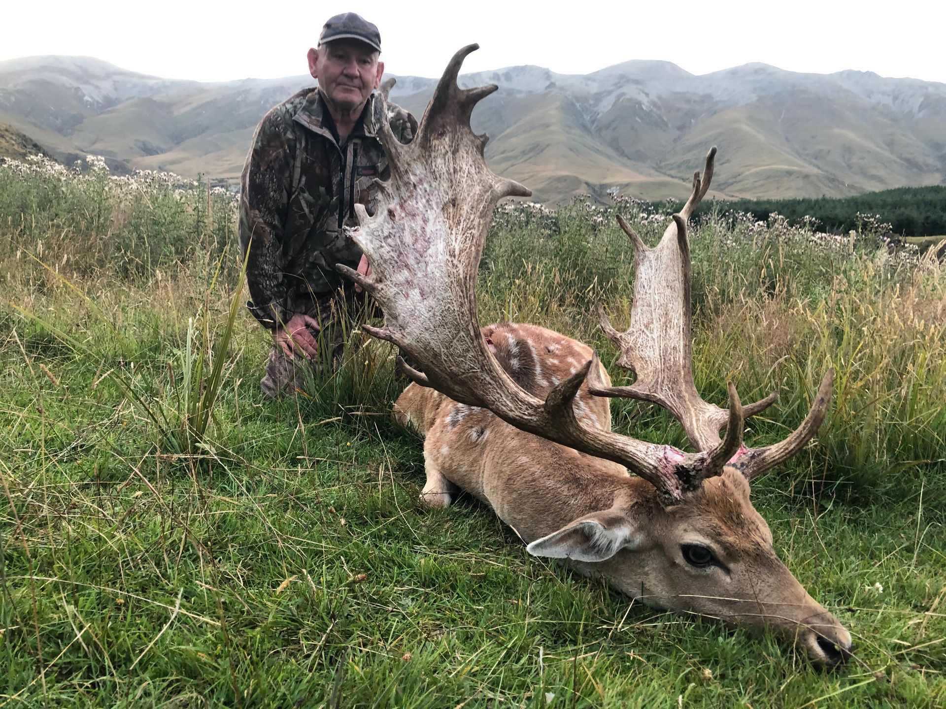 Man kneeling next to a fallen deer with large antlers in a grassy field; mountains in the background.