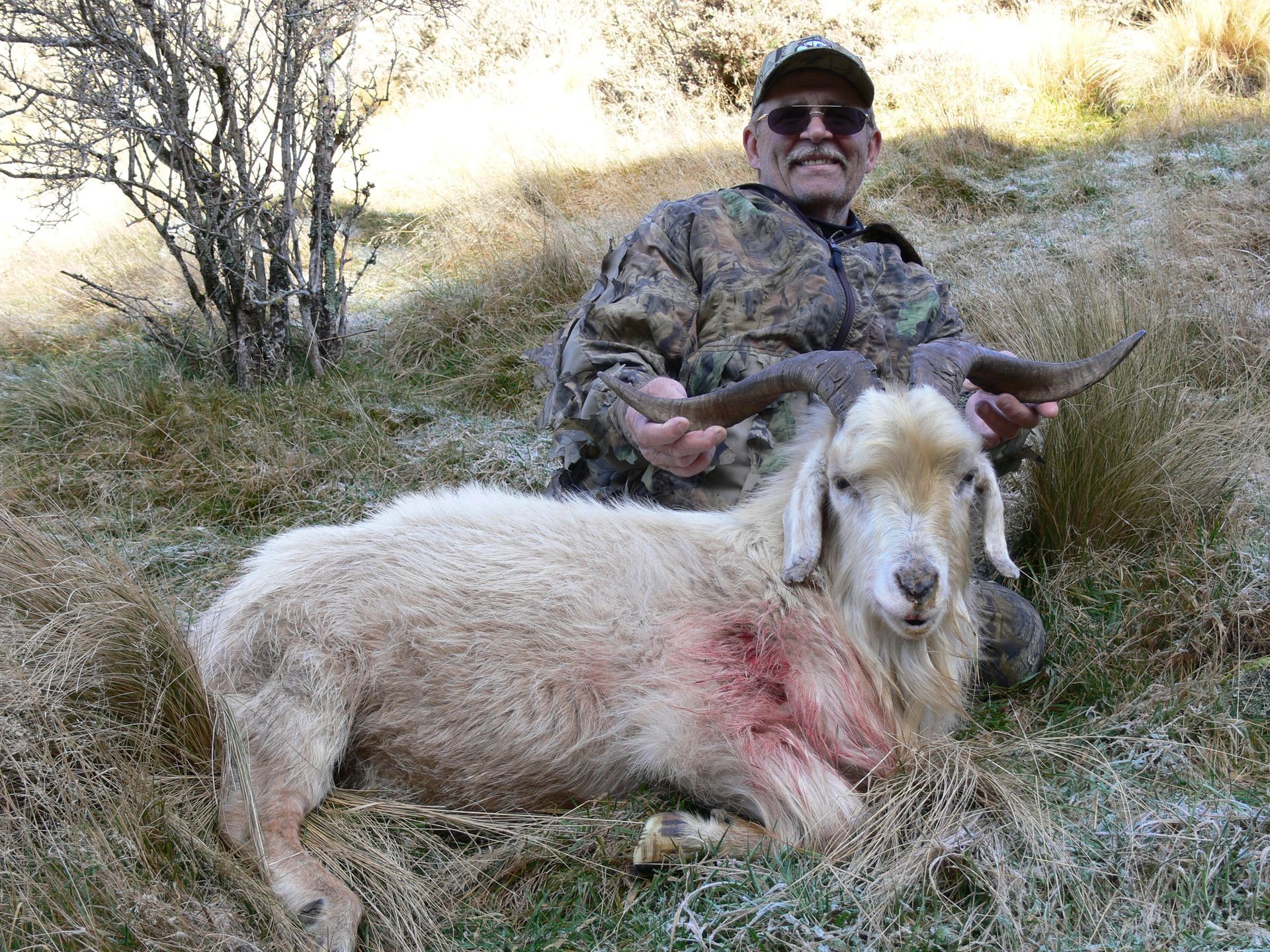 Hunter in camouflage kneeling next to a cream-colored goat with horns on the ground; a red stain is visible on the goat's side.