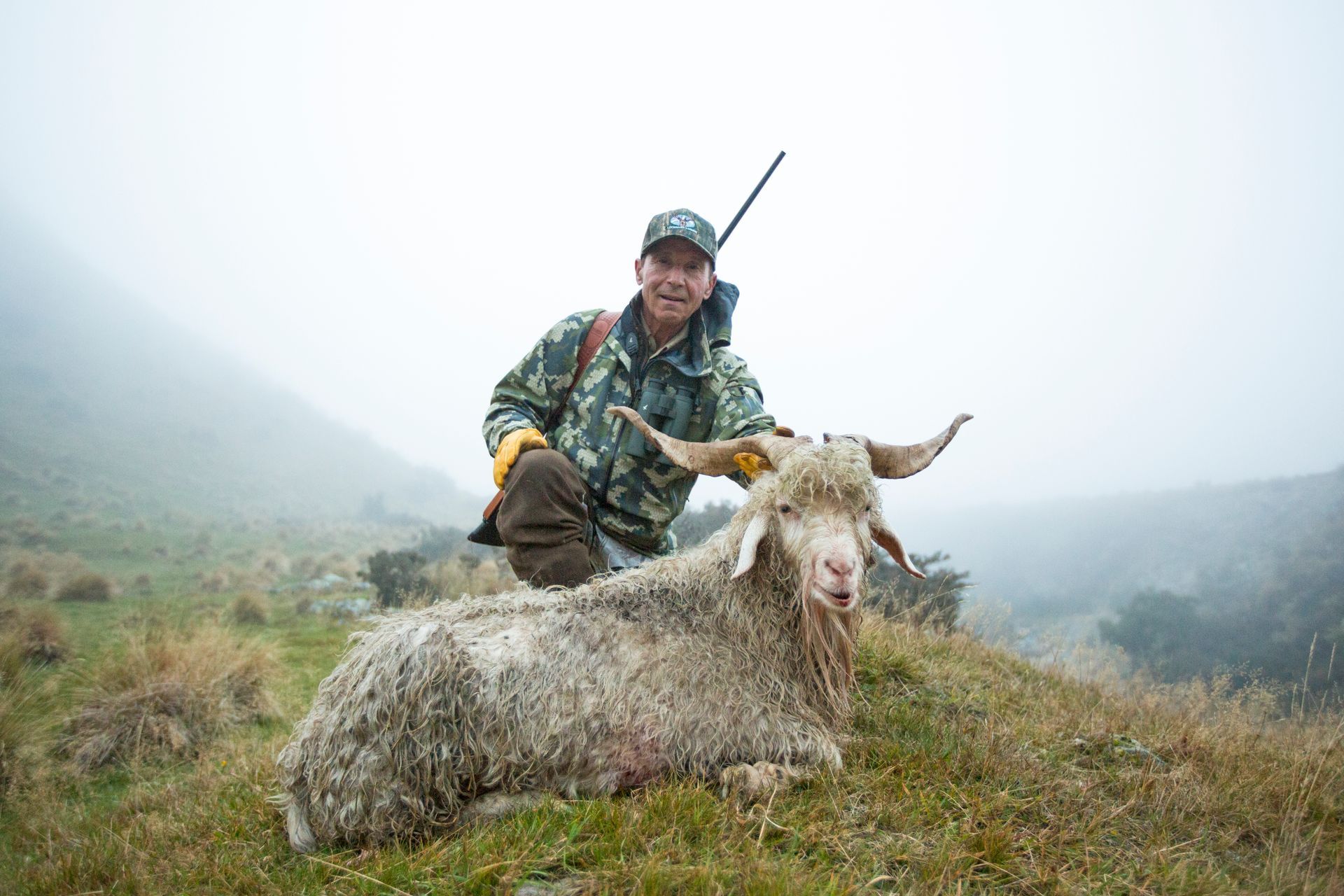 Hunter in camouflage kneeling next to a large, horned goat on a grassy hillside. Foggy, overcast day.