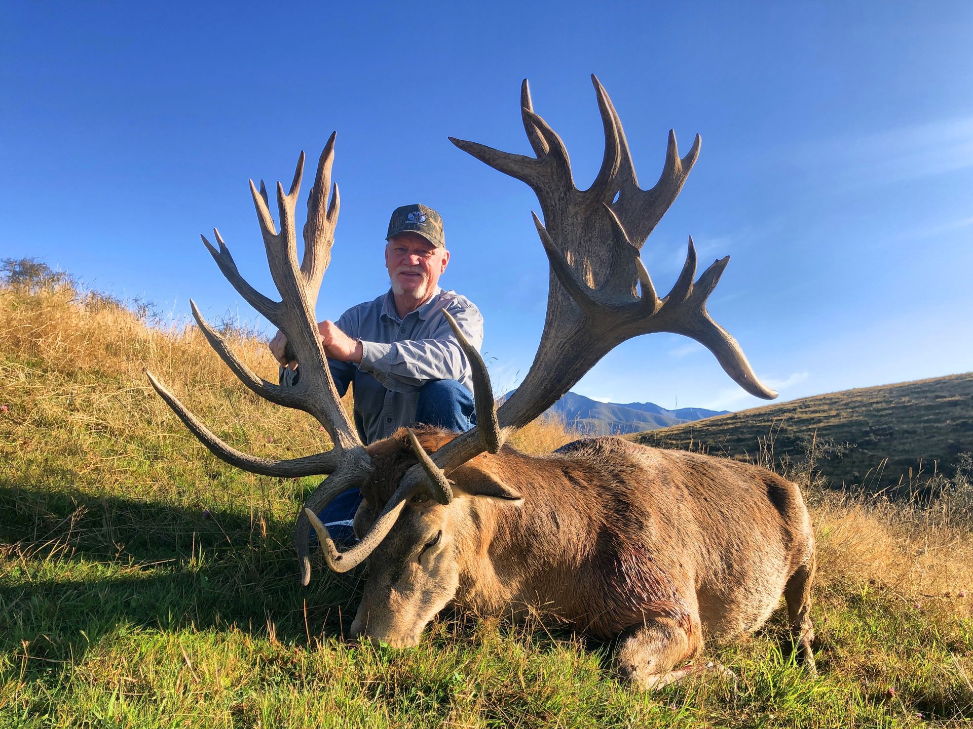 Man kneels beside a massive red deer with large antlers on a grassy hillside under a clear blue sky.