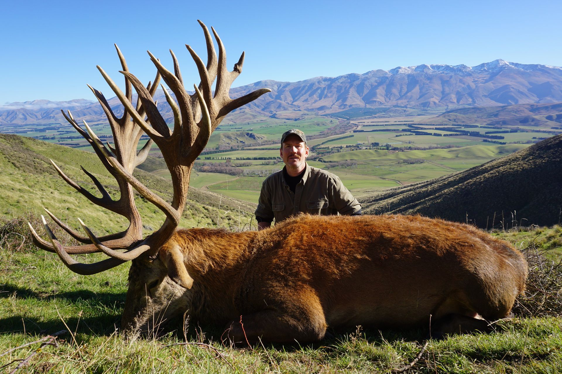 Man standing behind a large, dead red deer with massive antlers. The scene is a grassy hillside with mountains in the background.