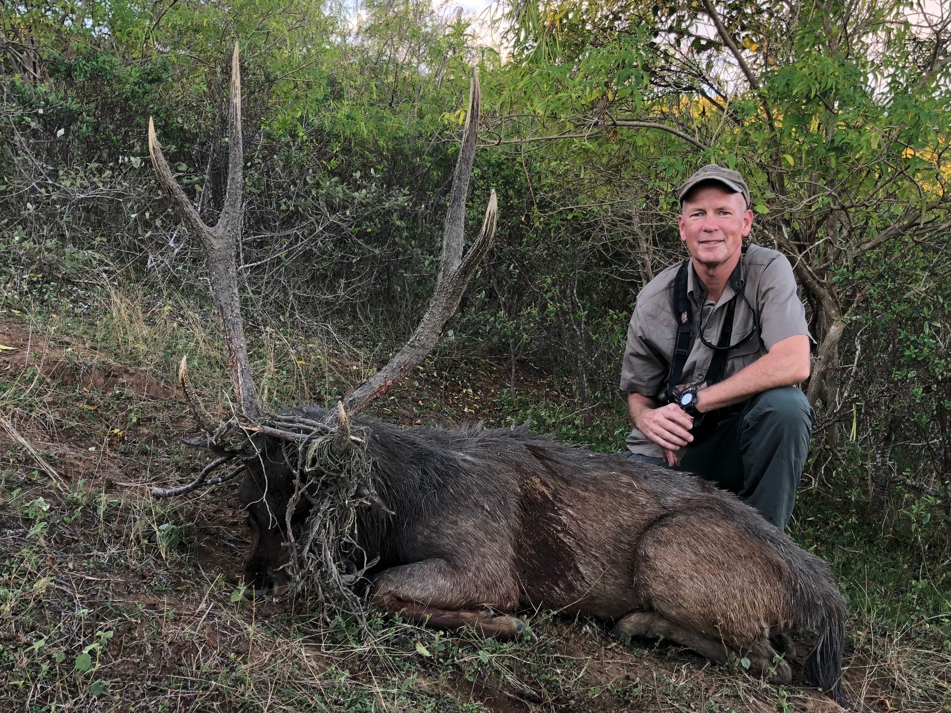 Man kneeling beside a large, dead warthog in a grassy, outdoor setting. The warthog has large tusks.