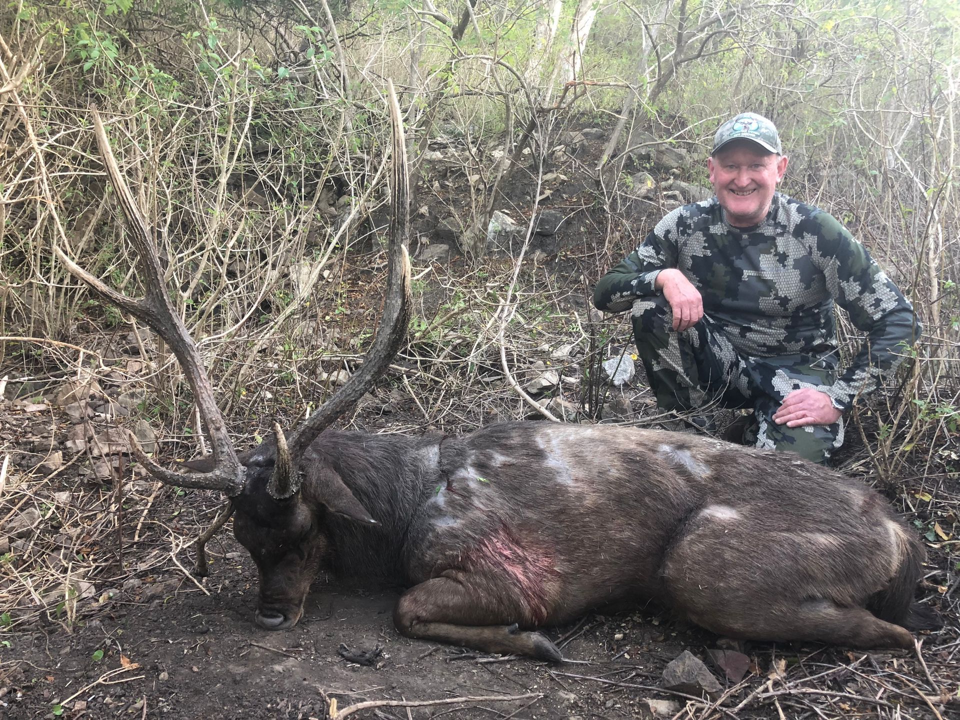 Hunter kneels next to a large deer, likely a Sambar, in a wooded area. The hunter smiles, wearing camouflage.