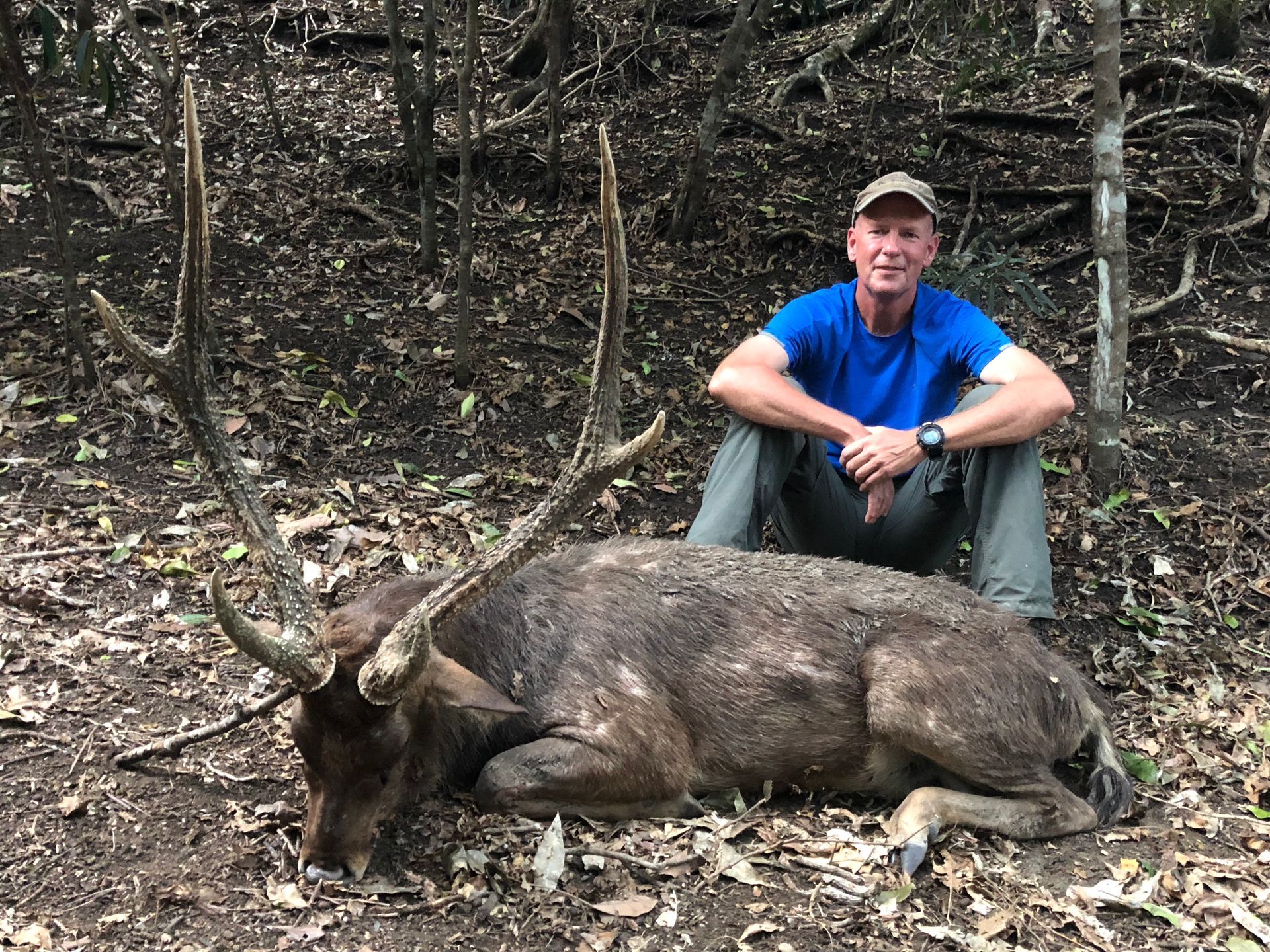 Man in blue shirt sits next to a large, dead deer with large antlers in a wooded area.