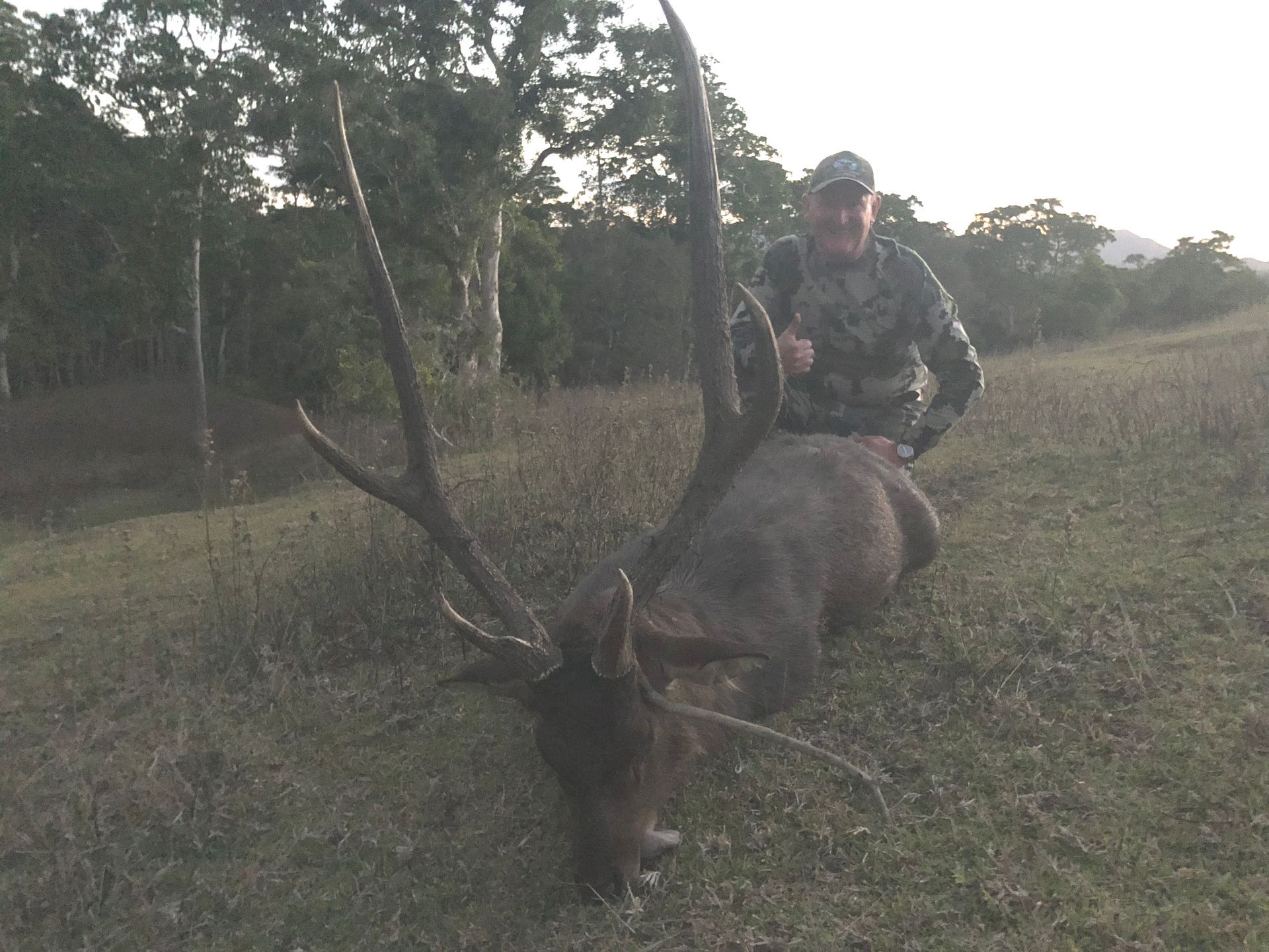Man in camouflage kneels beside a large deer with antlers in a grassy field. Trees are in the background.