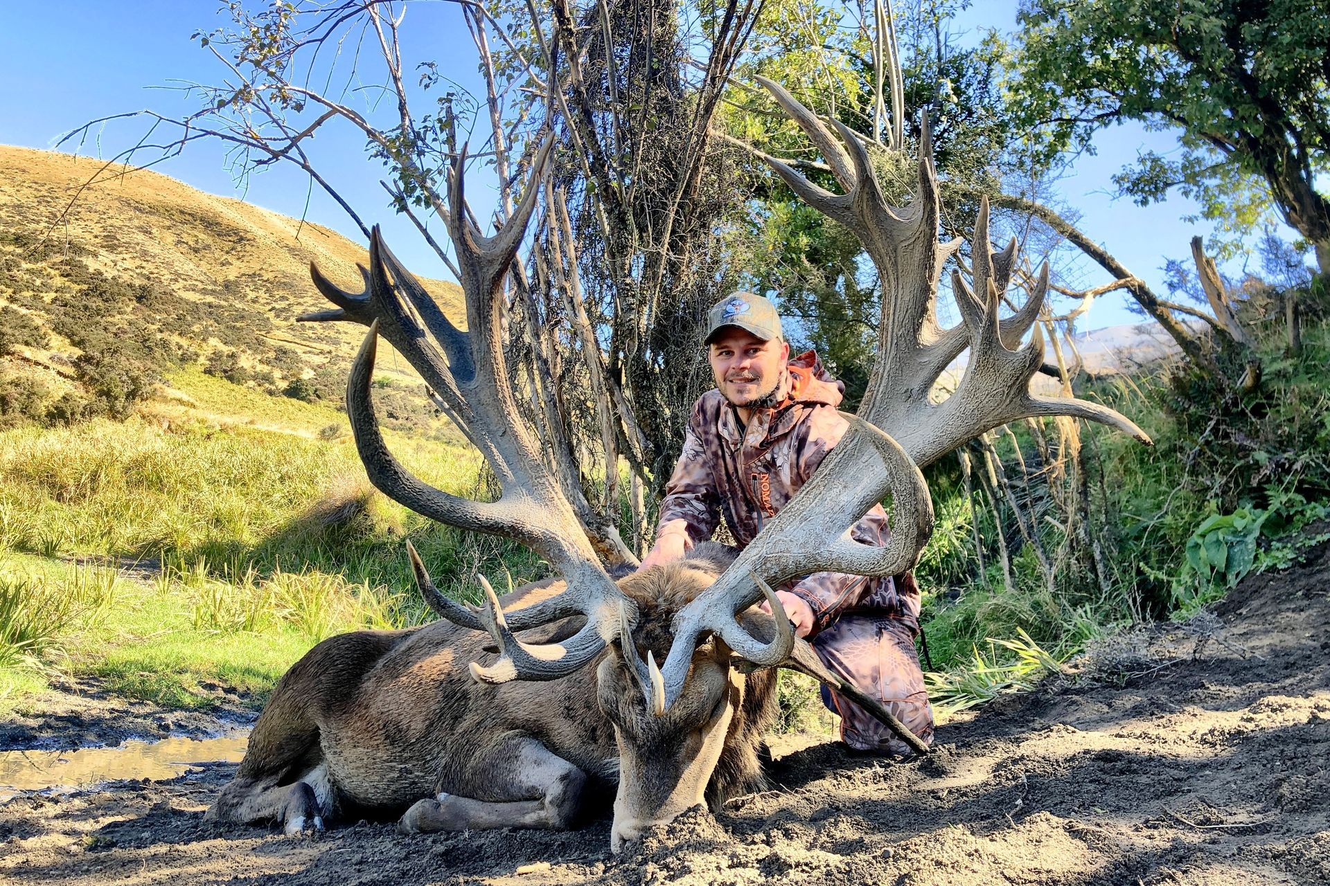 A person in camouflage kneels beside a large, dead stag with massive antlers in a grassy, sunny field.