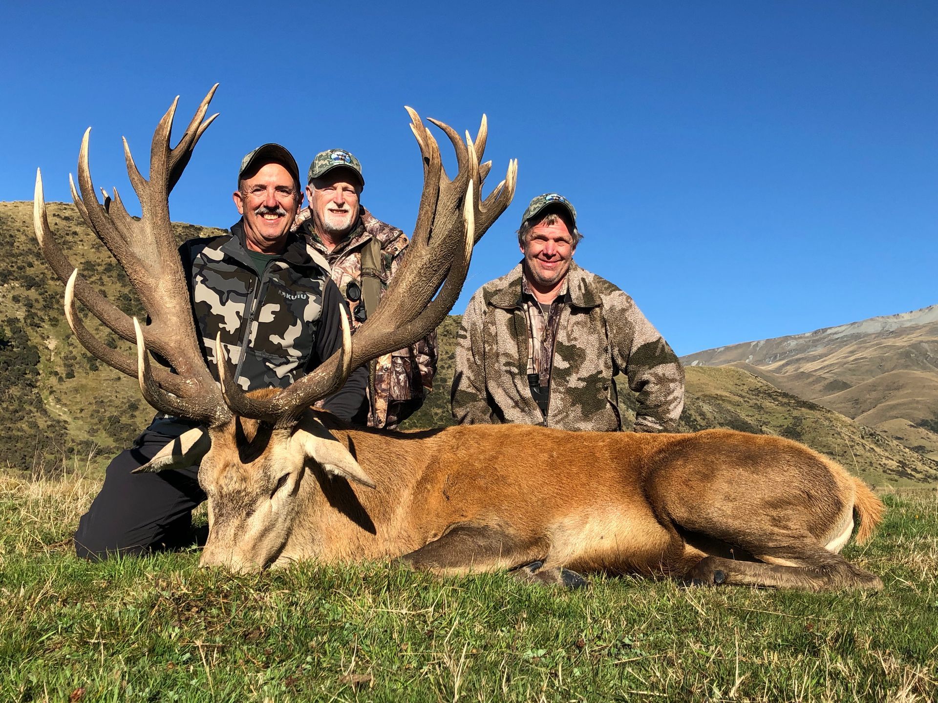 Three men pose with a large red deer stag in a grassy field with mountains in the background under a blue sky.