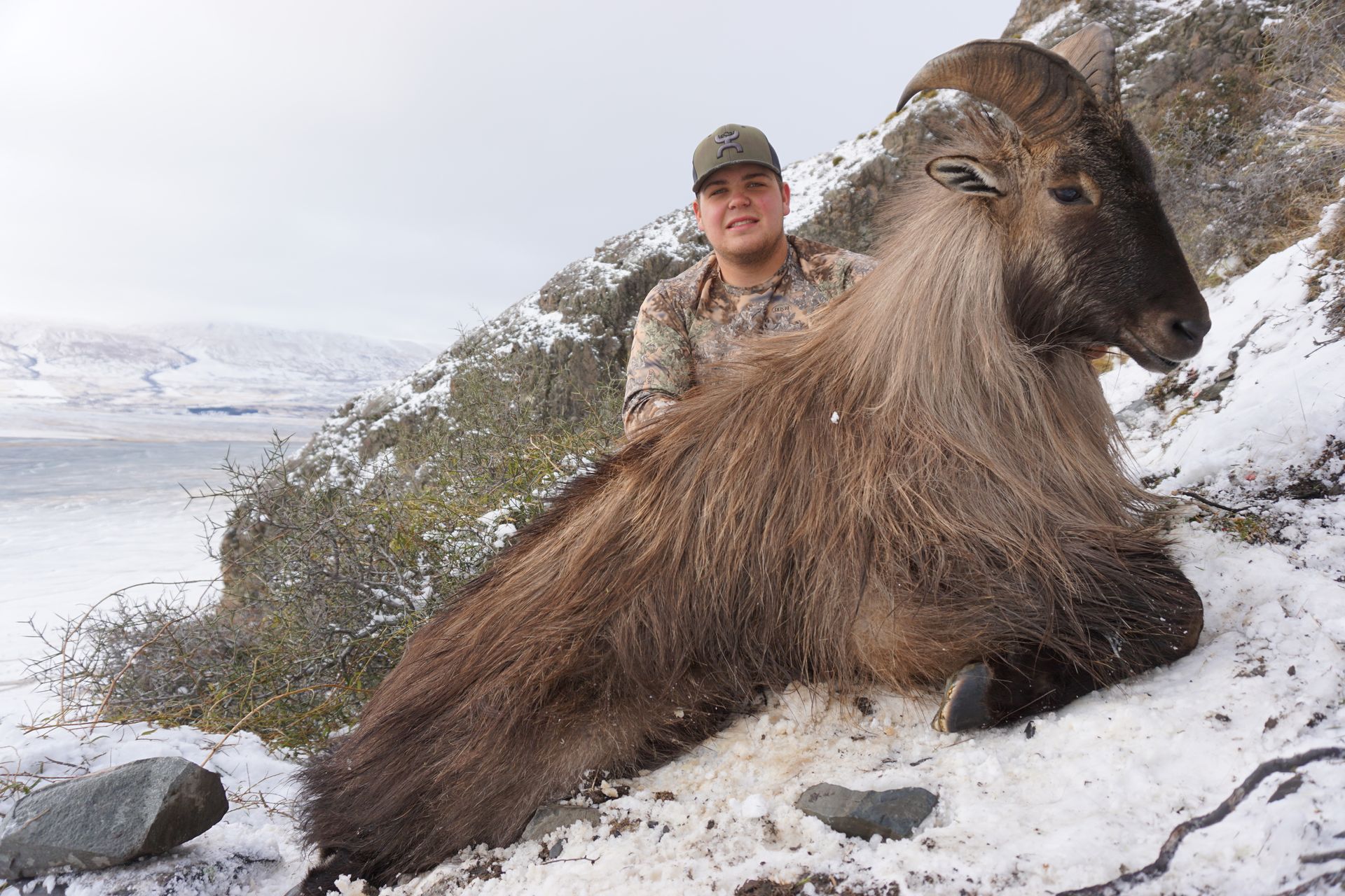 A person in camouflage poses with a large, dead Himalayan tahr in a snowy mountain setting.