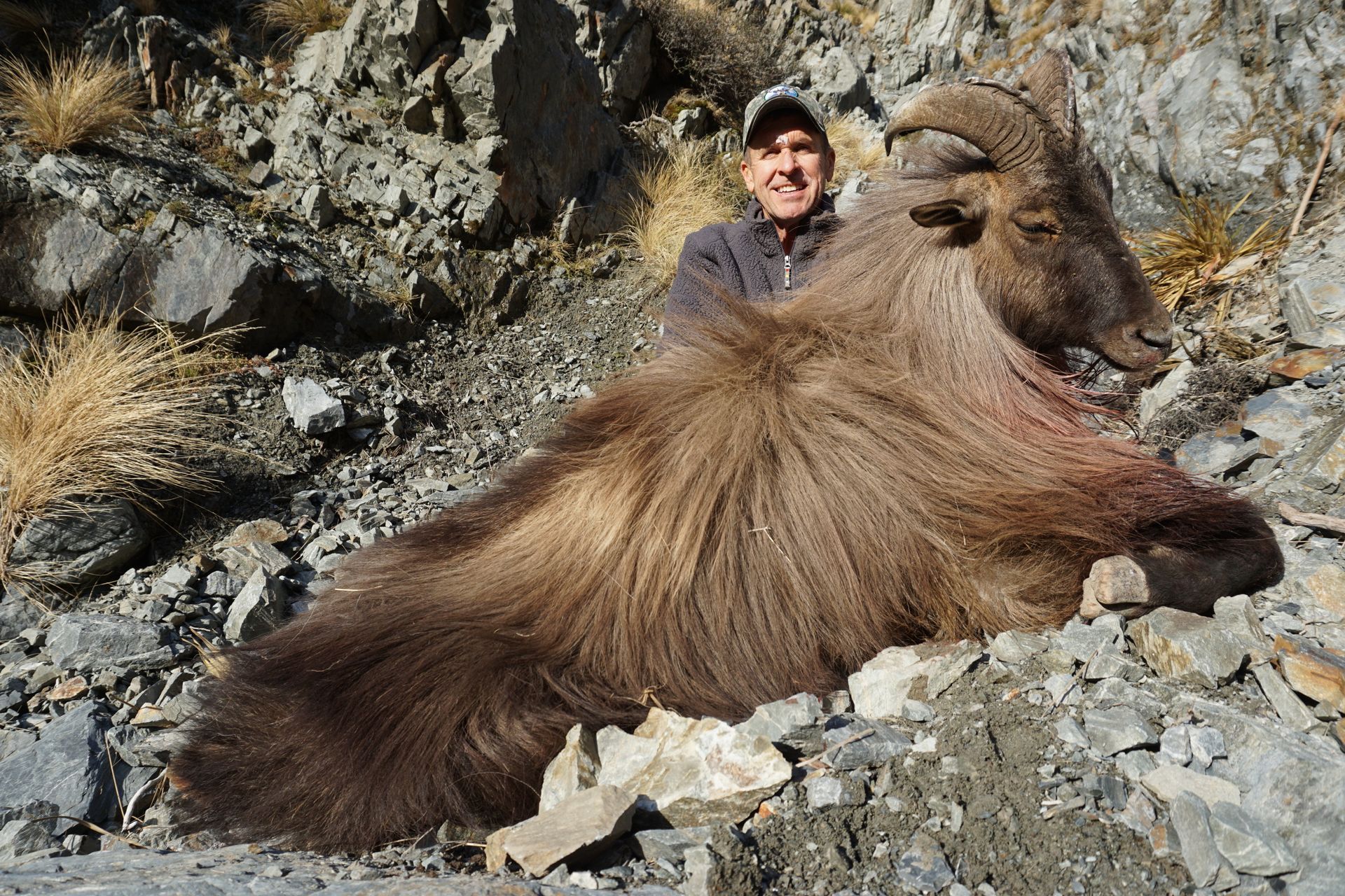 Man poses with a large, shaggy brown markhor on a rocky hillside. The animal appears deceased.