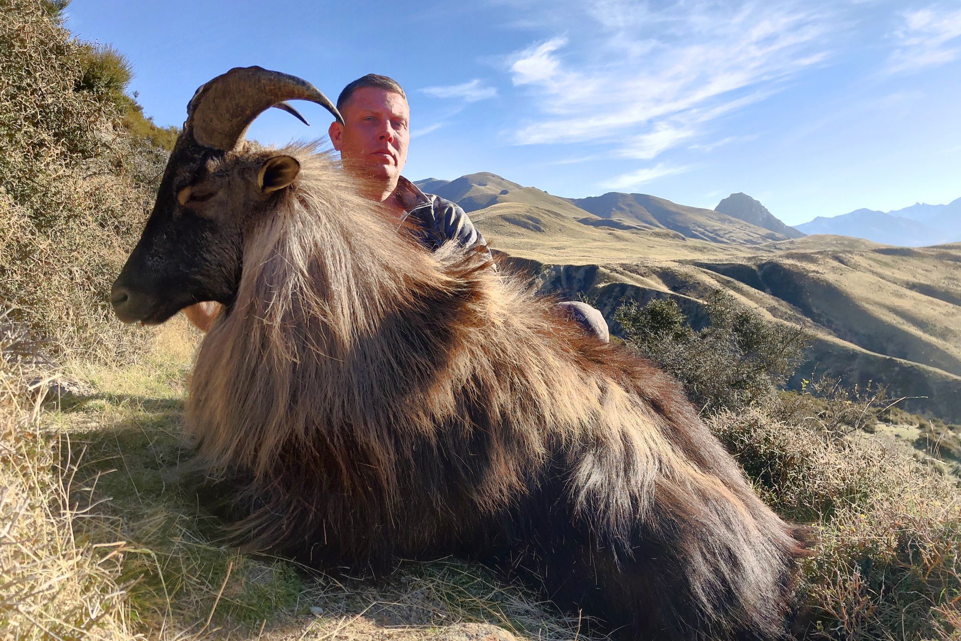 Man poses with a large, dead Himalayan tahr on a grassy hillside. The animal is brown with large curved horns.