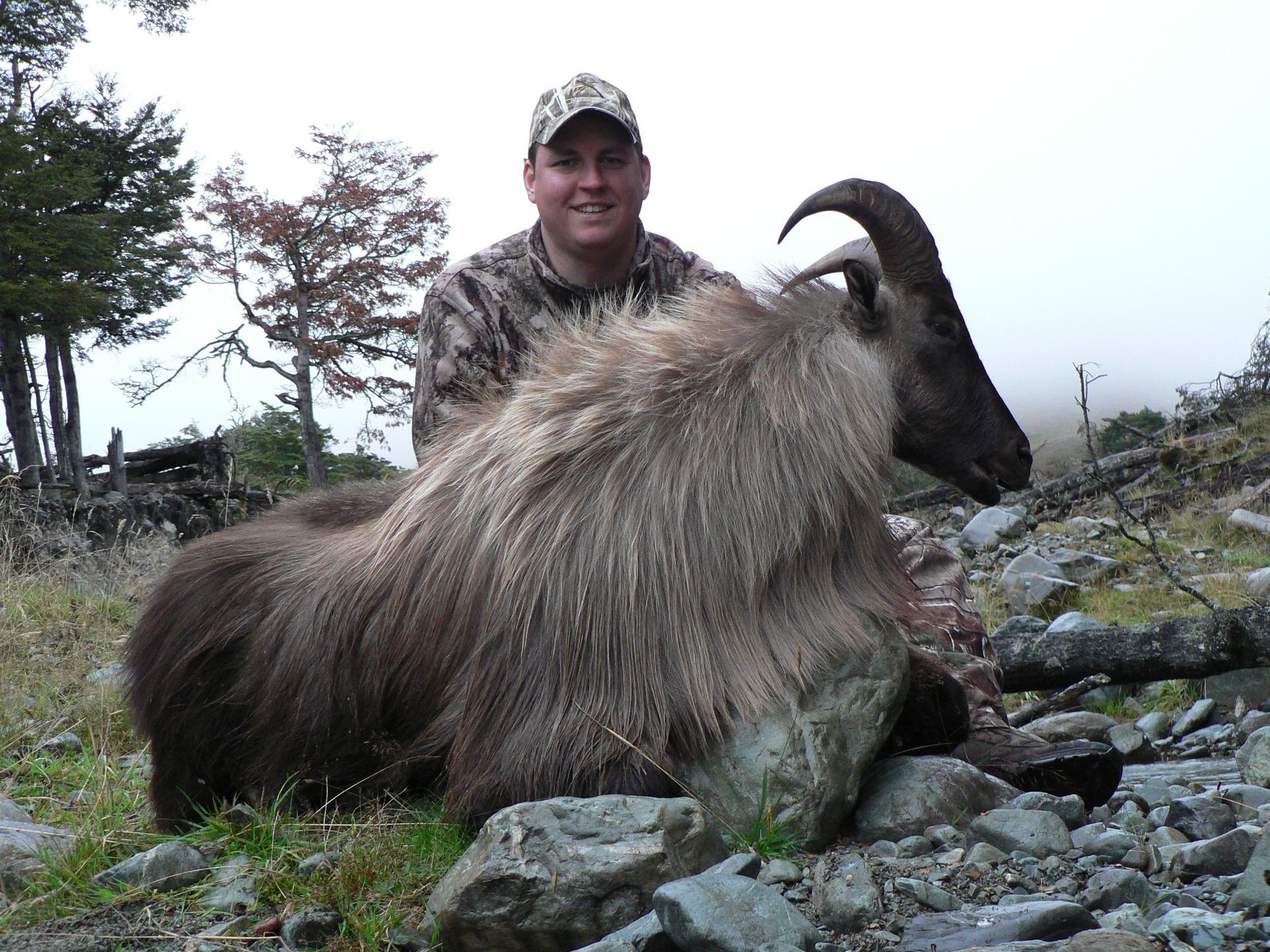 Man in camouflage smiling, posing with a large, long-haired Himalayan tahr he has hunted, on a rocky hillside.