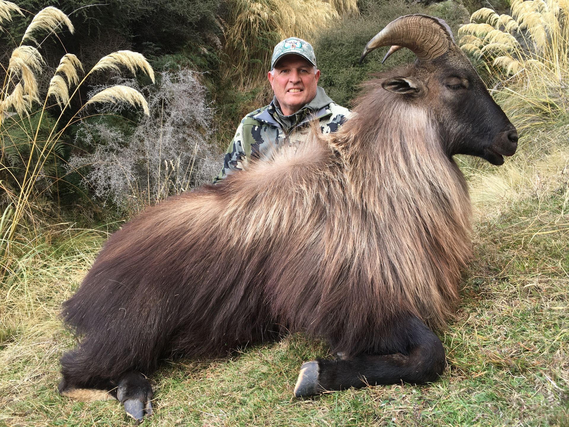 Man in camouflage smiling, posed with a large, dark-haired Himalayan tahr on grassy ground.