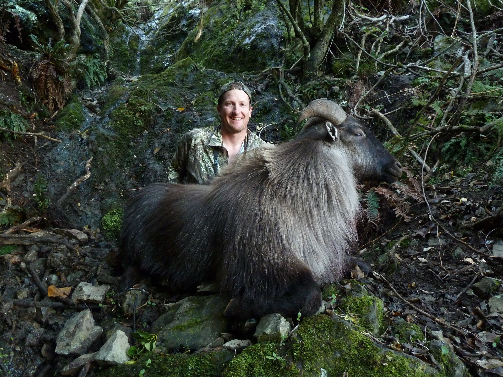 Man in camouflage smiling, posing with a large, dark-haired Himalayan tahr in a forested, rocky setting.