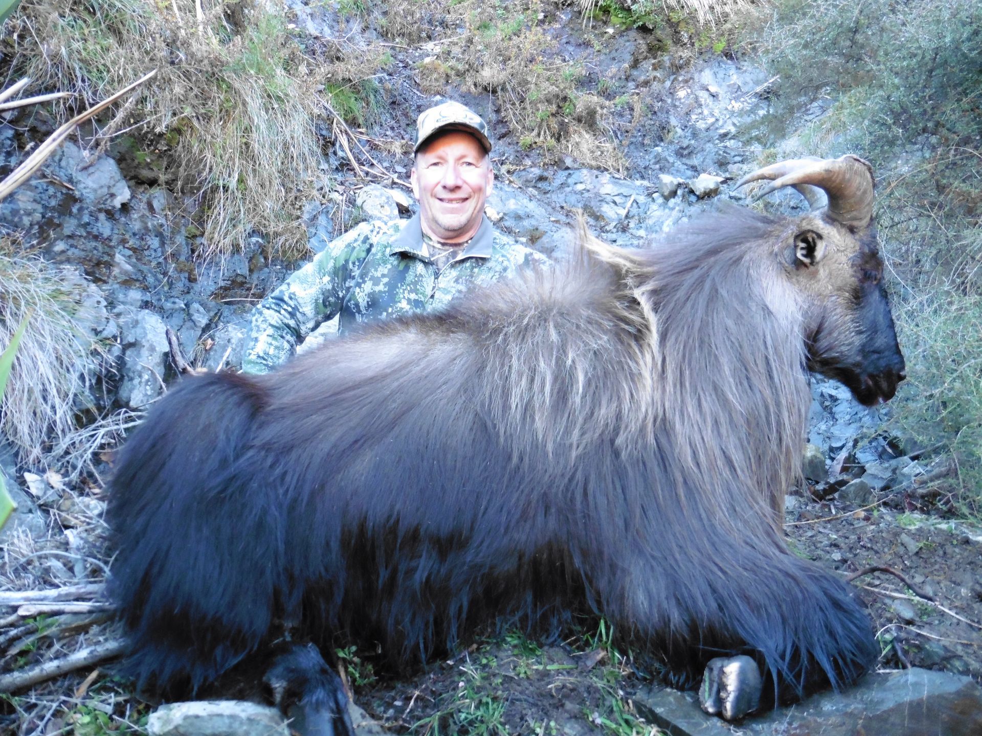 Man in camouflage smiling next to a large, dark-furred Himalayan Tahr in a rocky, outdoor setting.