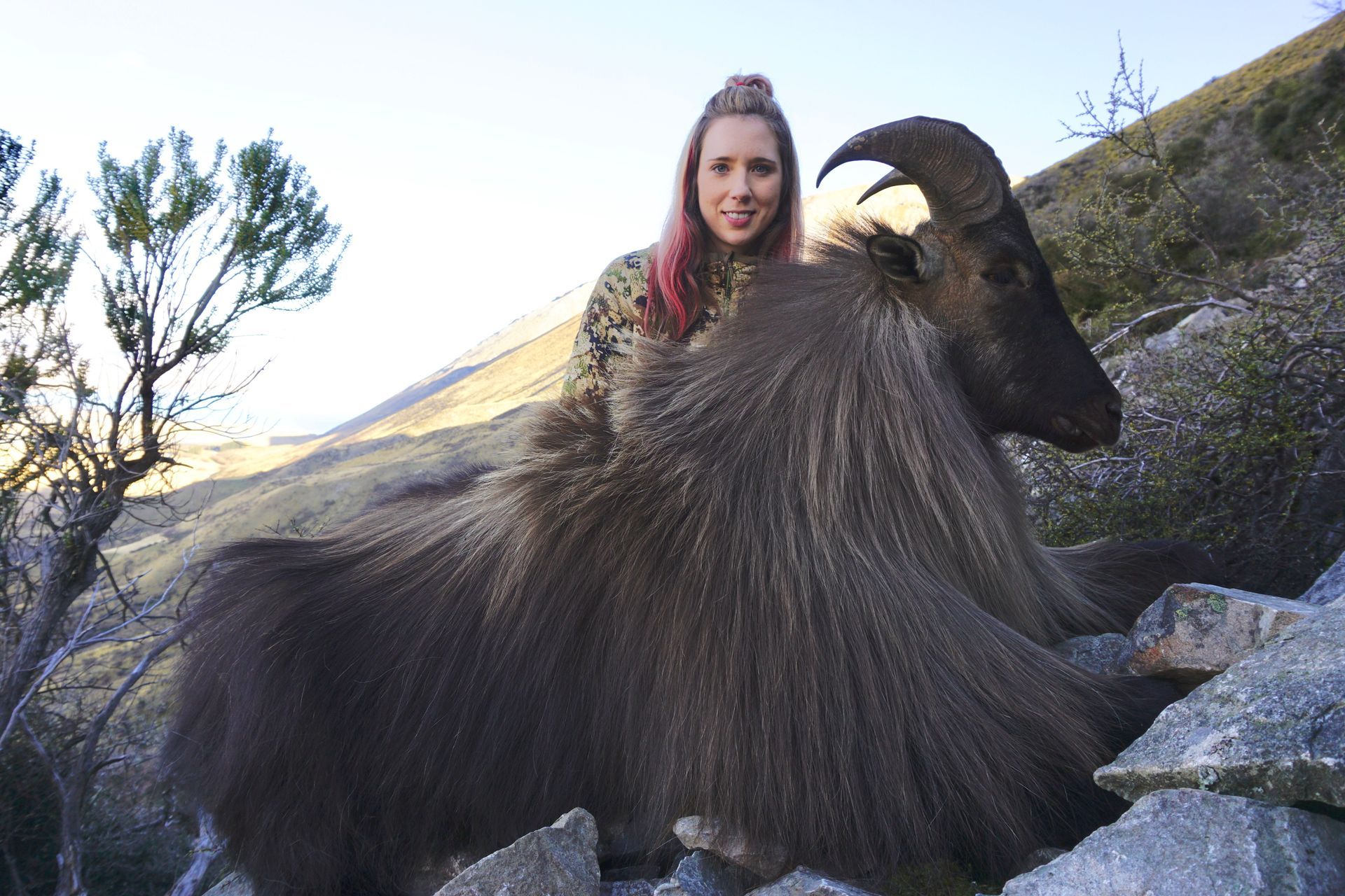 Woman in camouflage gear smiles next to a large, shaggy-haired Himalayan Tahr in a rocky mountain setting.