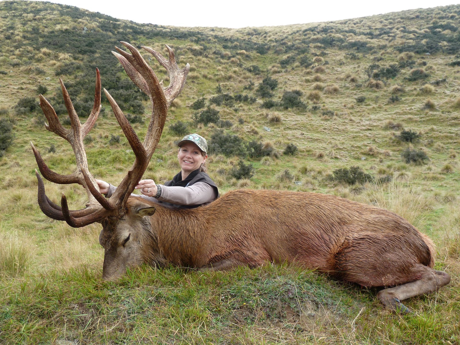 Woman smiles, posing next to a large red deer with impressive antlers, lying on grassy hillside.