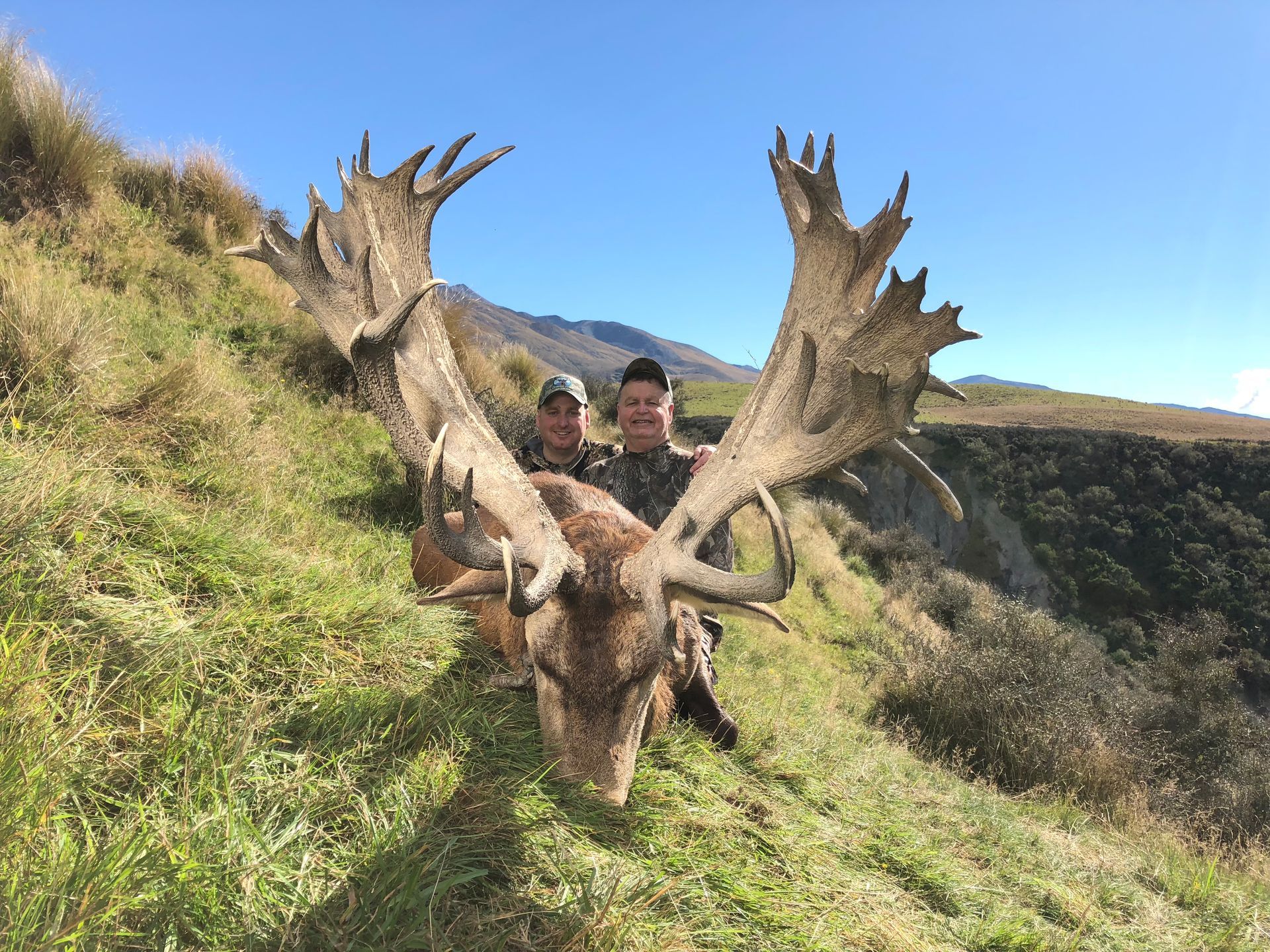 Two people stand next to a large stag with impressive antlers on a grassy hillside with a blue sky.