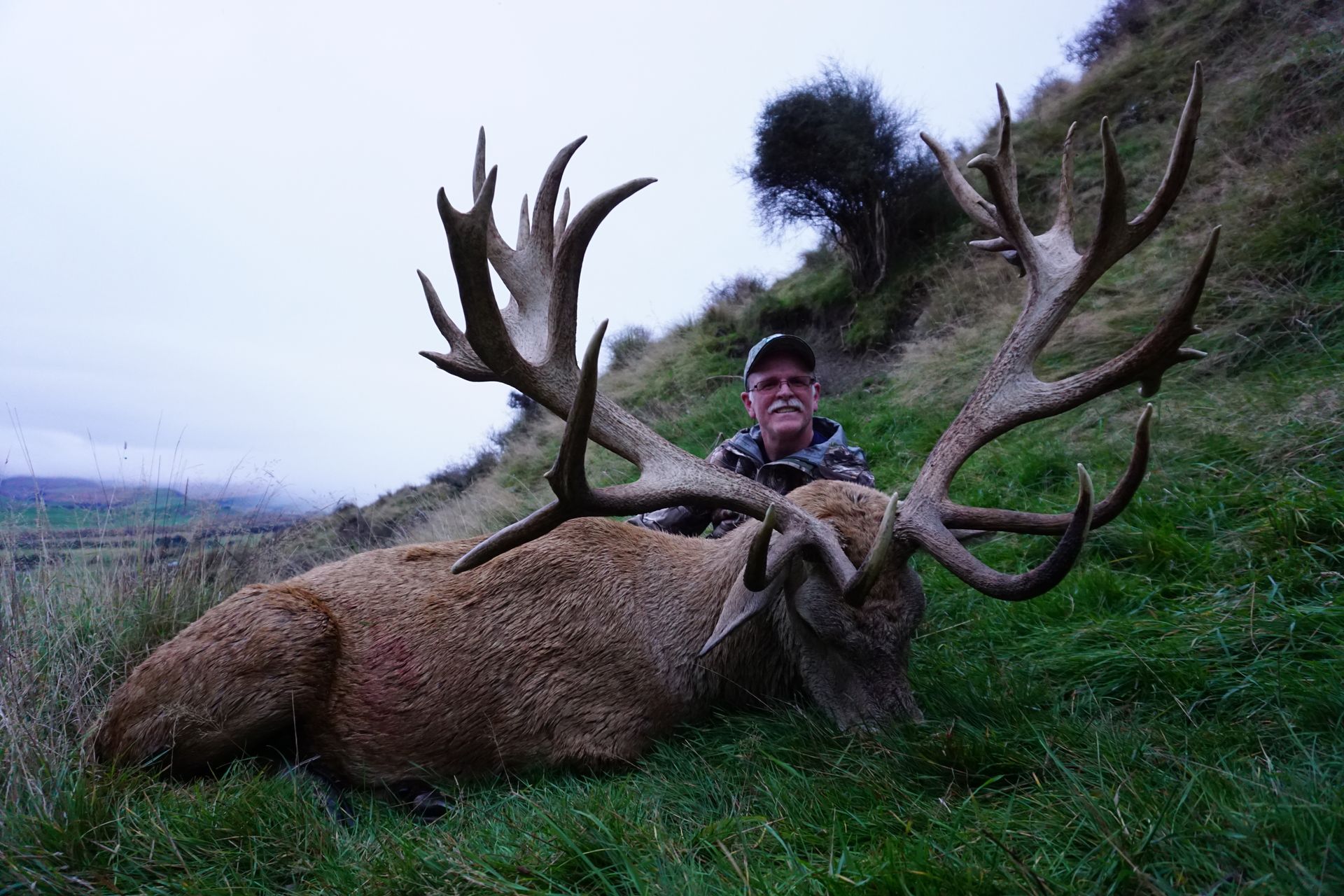 Man posing next to a large dead deer with impressive antlers in a grassy outdoor setting.
