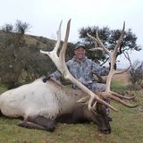 Man in camouflage smiling, kneeling next to a large elk he has shot; outdoors in grassy terrain.