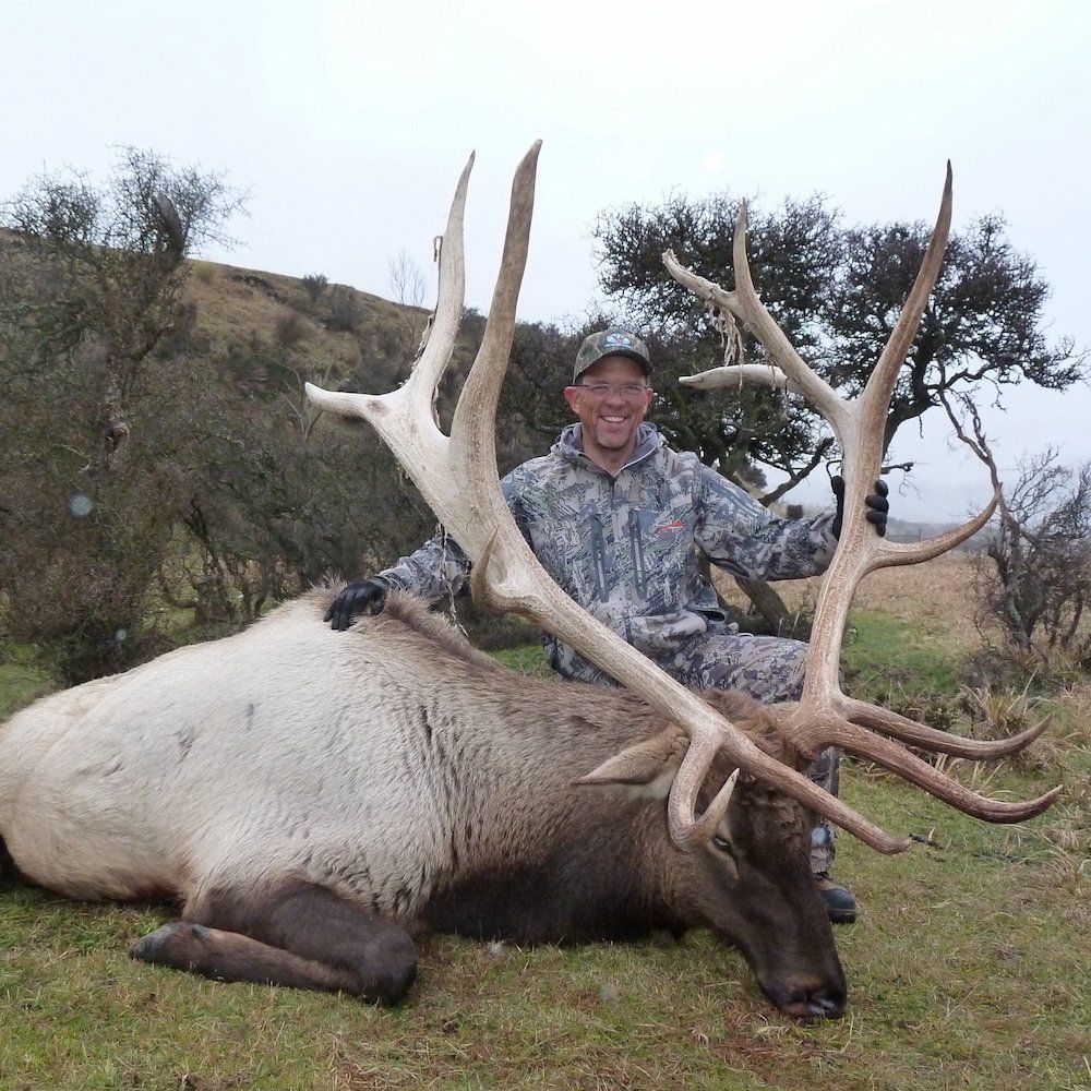 Man in camouflage smiling, kneeling next to a large elk he has shot; outdoors in grassy terrain.