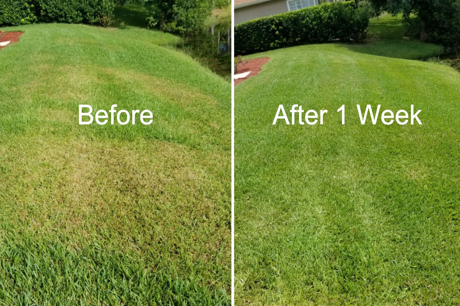 About Turf Organics | Organic Lawn Care and Pest Control in Florida