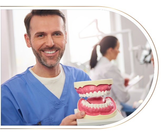 A dentist is smiling while holding a model of teeth.