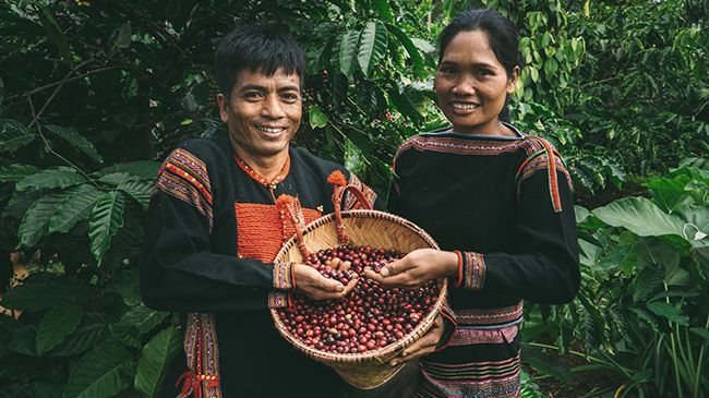 A man and a woman are holding a basket of coffee beans.