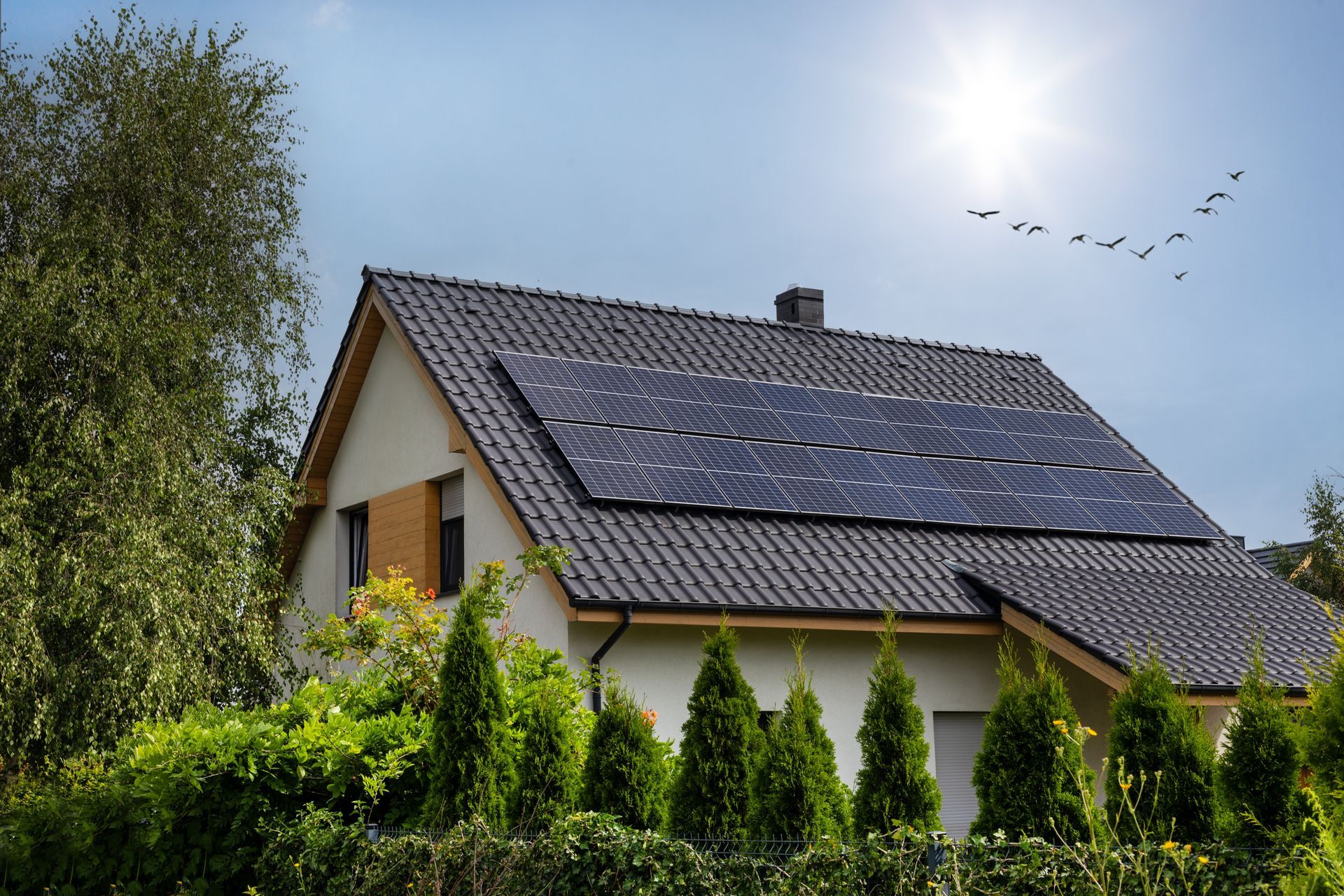 A house with solar panels on the roof is surrounded by trees and bushes.