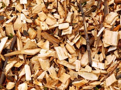 A pile of wood chips and branches on the ground.