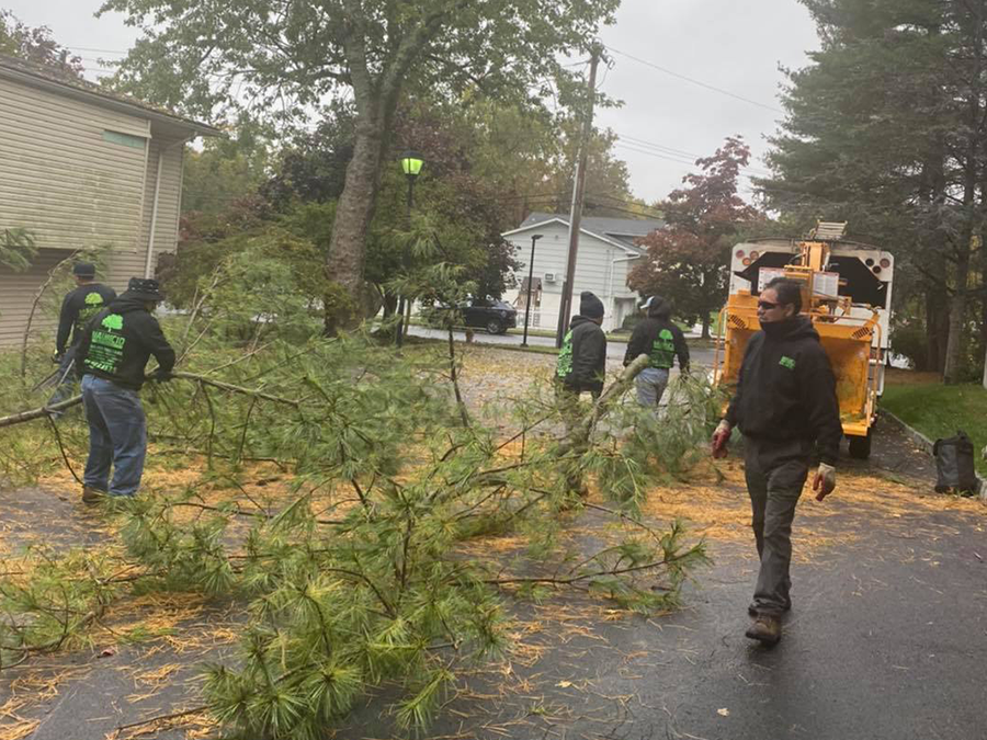 A group of people are walking down a street next to a tree.