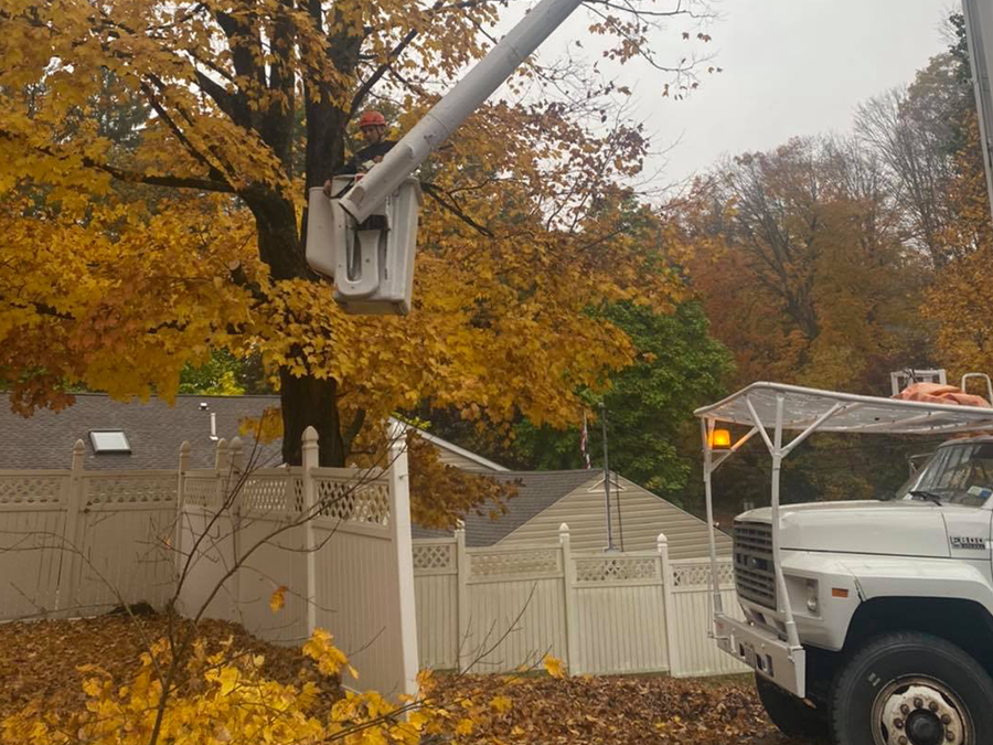 A truck with a crane attached to it is cutting a tree