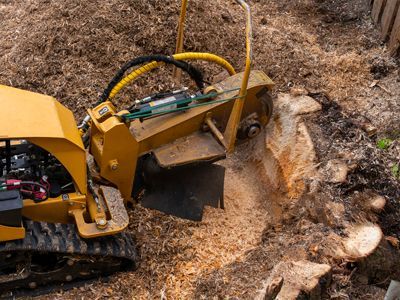 A stump grinder is cutting a tree stump in the ground.