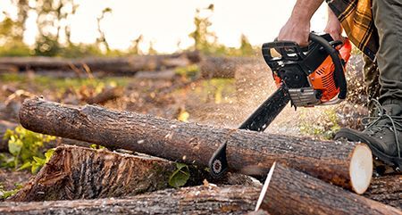 Person cutting a log with an orange and black chainsaw in a wooded area.