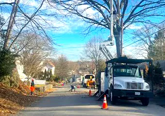 Tree removal crew working on a residential street, truck with lift in action, several workers, and foliage on the ground.