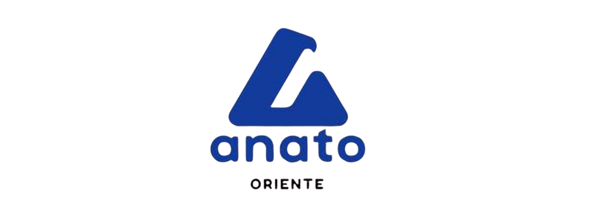 Logotipo triangular azul con la palabra 
