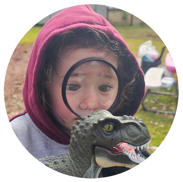 Cobar Mobile Children's Services Inc