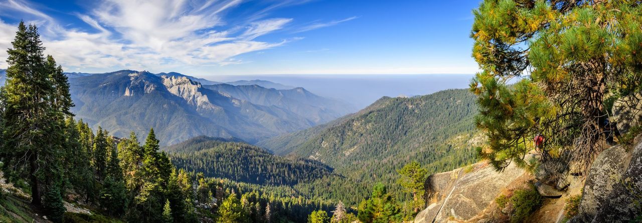 Panoramic mountain valley with evergreen trees, rocky peaks, and a bright blue sky with wispy clouds