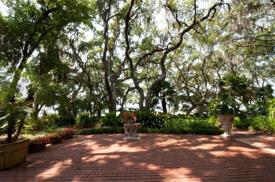 Plants and trees - Panama City, FL - Noles Scapes