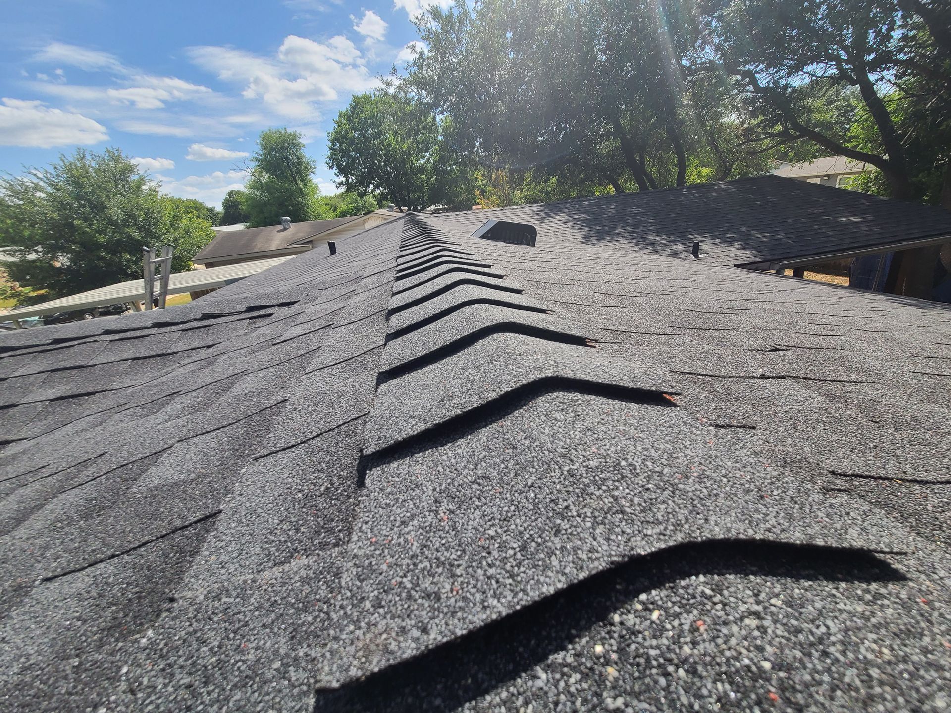 View from a rooftop; black shingles in sunlight against a blue sky and trees.
