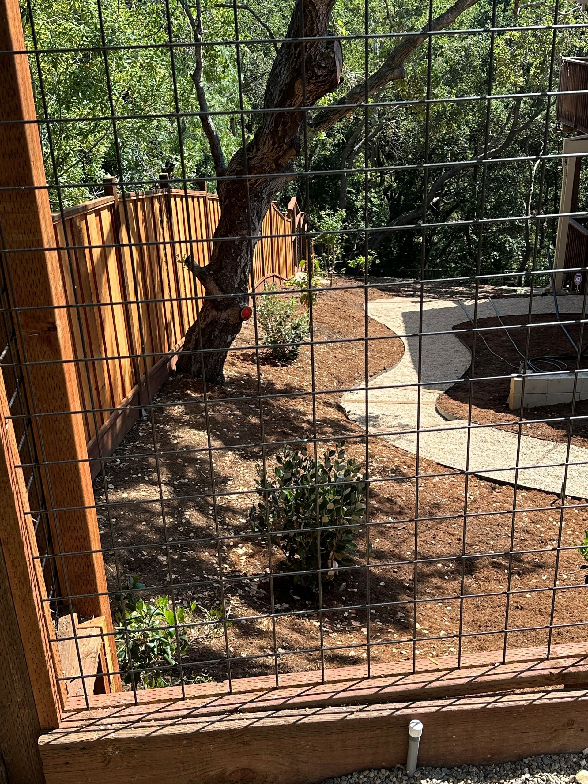 A wire fence surrounds a garden with a tree in the background.