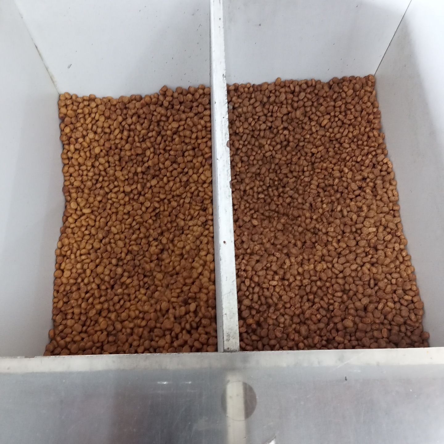 ração, pet, petiscos, saches, passaros